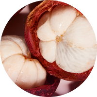 Kokum Butter