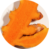 Turmeric Root