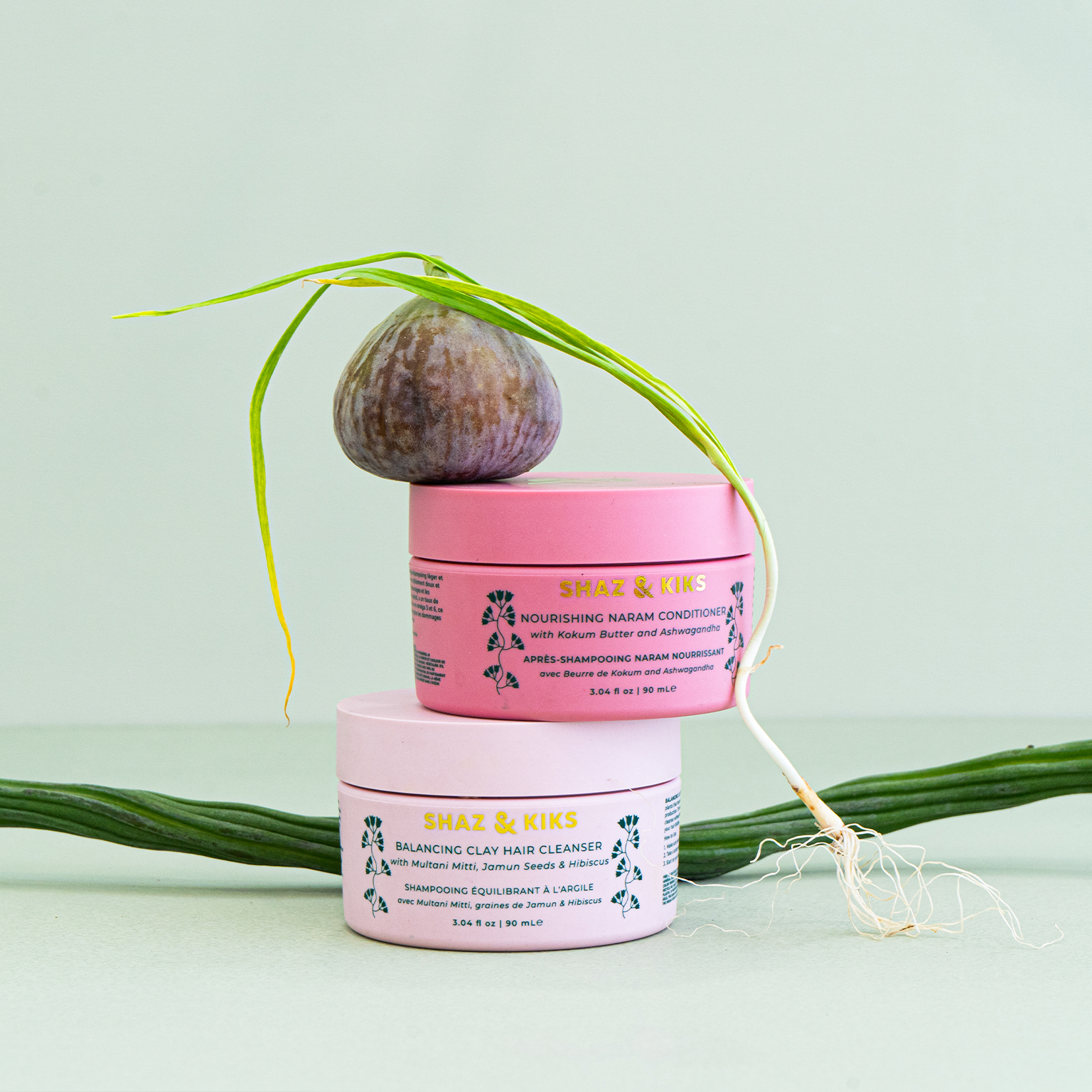 Your Questions Answered