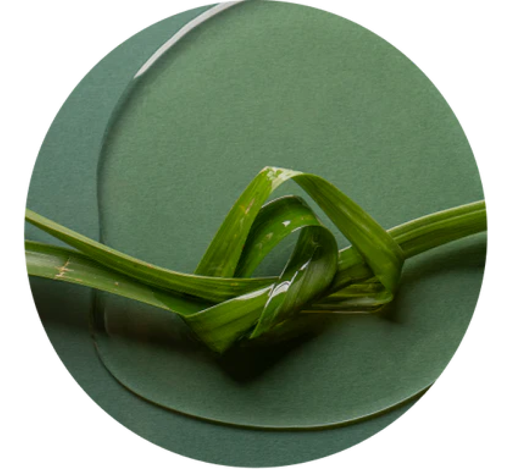 pHyto-PowerVEDA™ Complex1