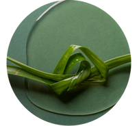 pHyto-PowerVEDA™ Complex