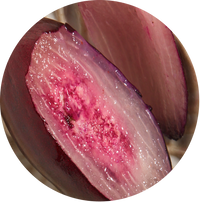 Jamun Berries