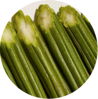 Moringa Oil