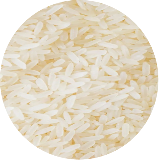 Rice Aminos1