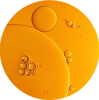 Sea Buckthorn + Avocado Oil Blend