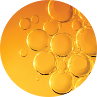 Turmeric Root Oil